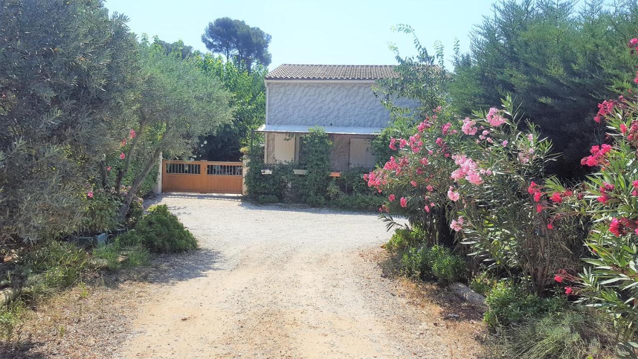 Les Lauriers Villa Le Castellet  ภายนอก รูปภาพ